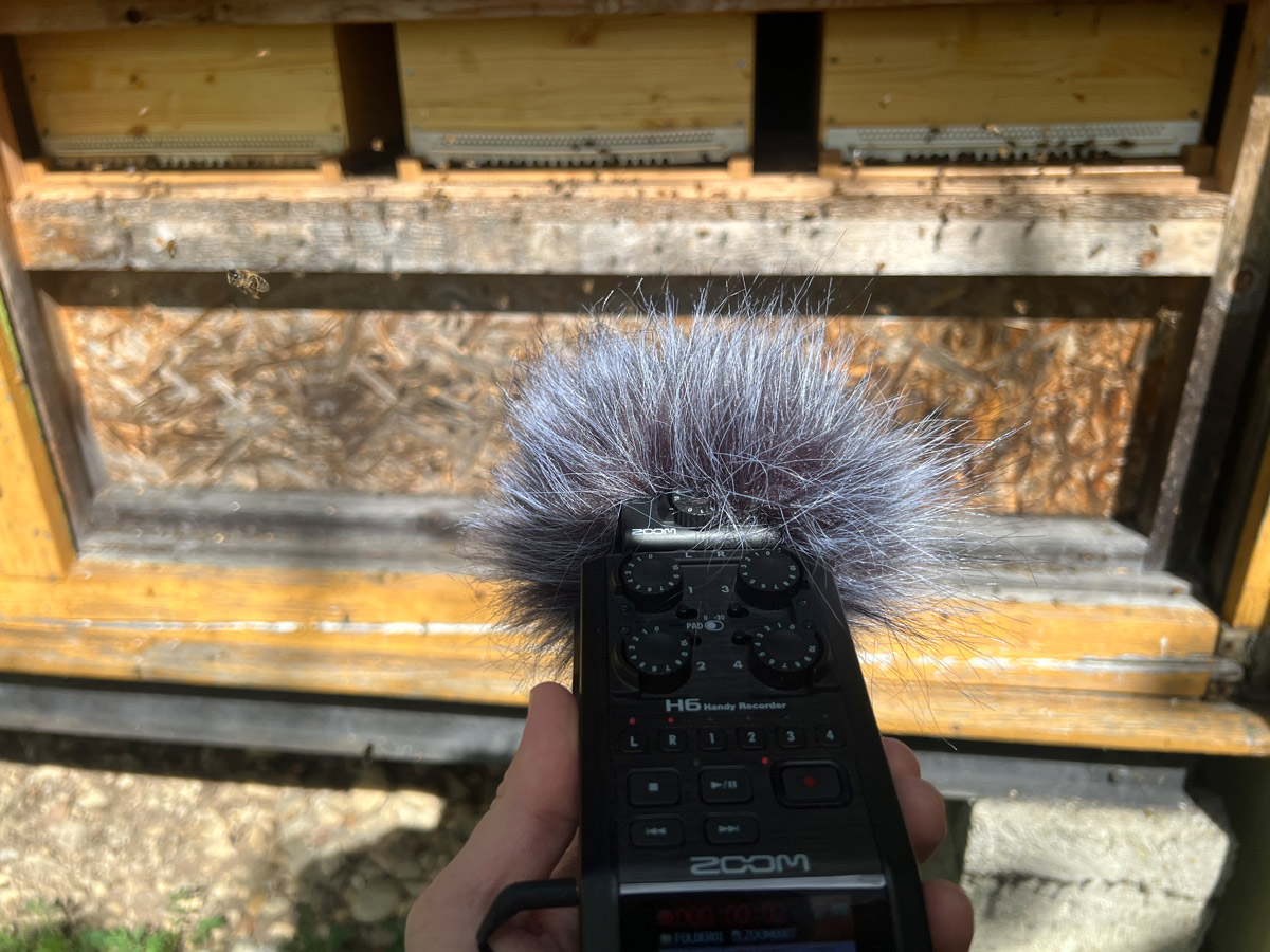 Zoom H6 Aufnahme